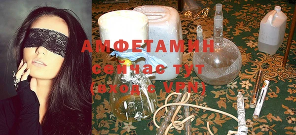 индика Пестово