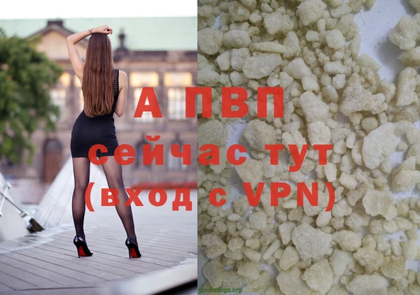 a pvp Пересвет
