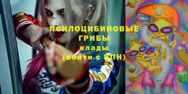 PSILOCYBIN Переславль-Залесский