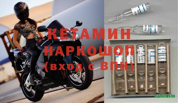 индика Пестово