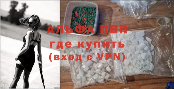 a pvp Пересвет