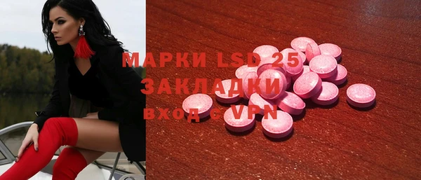 индика Пестово